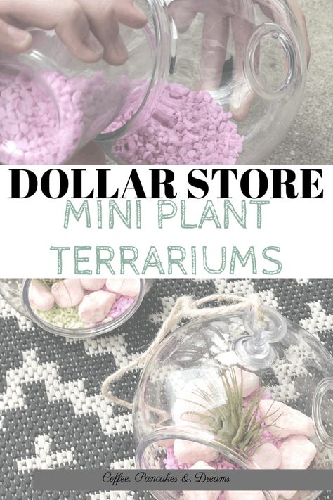 Diy Easy Terrarium, Easy Terrarium Ideas, Air Plant Terrarium Ideas, Mini Terrarium Diy, Mini Terrarium Ideas, Mini Plant Terrarium, Easy Terrarium Diy, Plastic Terrarium, Terrariums Diy