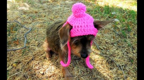 Crochet Dog Hat Free Pattern, Cat Hat Pattern, Crochet Dog Hat, Crochet Dog Clothes, Dog Sweater Crochet Pattern, Crochet Cat Hat, Dog Beanie, Dog Sweater Pattern, Dog Crochet