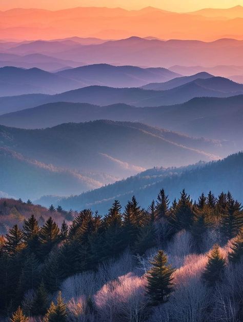 Lanscape Photoshoot Aesthetic, Clingmans Dome, Photoshoot Aesthetic, Country Landscaping, Family Art, Aerial Photography, Magical Places, Art Fair, Aerial View