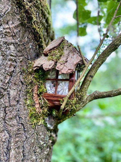 Tree Fairy Garden, Tree Fairy, Fairy Tree Houses, Fairy House Diy, Fairy Home, Fairy Garden Designs, Fairy Garden Crafts, Faeries Gardens, Fairy Tree