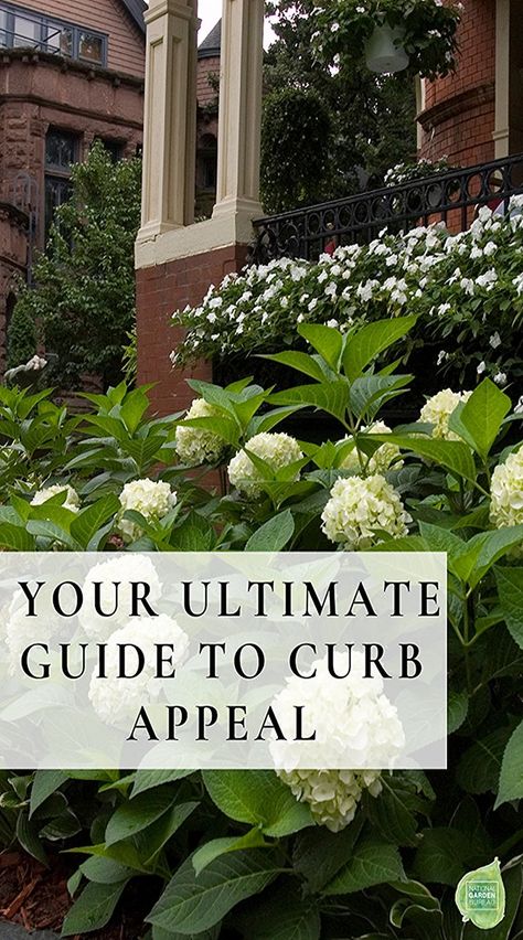 You’ve heard about the importance of curb appeal, and maybe you’ve tuned into TV shows that flipped sad-looking properties into dreamy, darling aspirational homes. But what’s involved with creating curb appeal? We’ll show you how to make your front yard look its best with ideas for designing an alluring, welcoming garden space. Curb Appeal Garden, Landscape Ideas Front Yard Curb Appeal, Front Yards Curb Appeal, Wall Mounted Planters, Garden Fun, Front Yard Design, Front Landscaping, Gardening Advice, Evergreen Shrubs