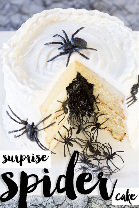 Festive Cake Recipes, Halloween Cakes Easy, Halloween Cake Recipes, Spooky Halloween Cakes, Spider Cake, Creepy Halloween Food, Spooky Cake, Halloween Cake Decorating, Surprise Cake