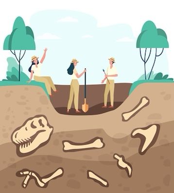 Archaeology Dig, Mail Ideas, Dinosaur Bones, Snail Mail, Archaeology, Artifacts, Graphic Resources, Vector Free, Vector Illustration