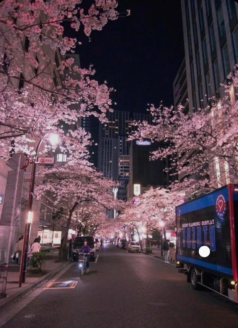 Nature Of Japan, Japan Asethic, Nihonbashi Tokyo, Tokyo Wallpaper, 2018 Aesthetic, Japan Scenery, Japan Flowers, Japan Vibes, Japan Wallpaper