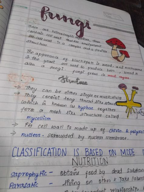 Microorganisms Notes, Fungi Notes, Cell Biology Notes, Biological Classification, Study Tricks, College Chemistry, Neet Notes, Biology Student, Learn Biology