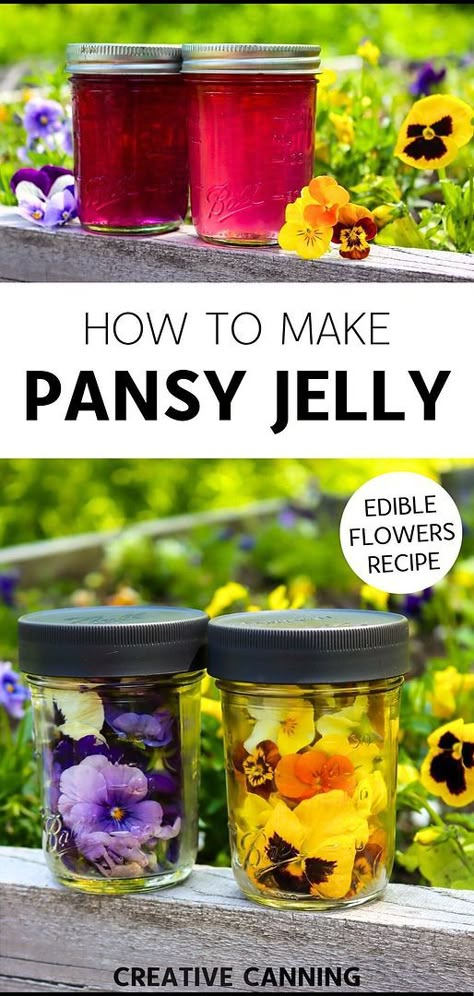 Learn how to make pansy jelly, a standout in our edible flowers recipes. This recipe guides you through using both garden pansies and wild violets to create a light, spring floral jelly that's perfect for brightening up your breakfast table. Dive into more canning jelly recipes & homemade jelly and homemade jelly recipes at creativecanning.com Pinecone Jelly, Lilac Jelly Recipe, Peony Jelly Recipes, Unique Jelly Recipes, Pansy Recipes, Canning Jelly Recipes, Jelly Recipes For Canning, Lavender Jelly, Floral Jelly