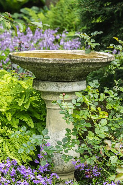 Garden Ideas Plants, Curtains Black And White, Black And White Curtains, Large Bird Baths, Birdbath Garden, Stone Bird Baths, Bird Fountain, Concrete Bird Bath, Diy Bird Bath