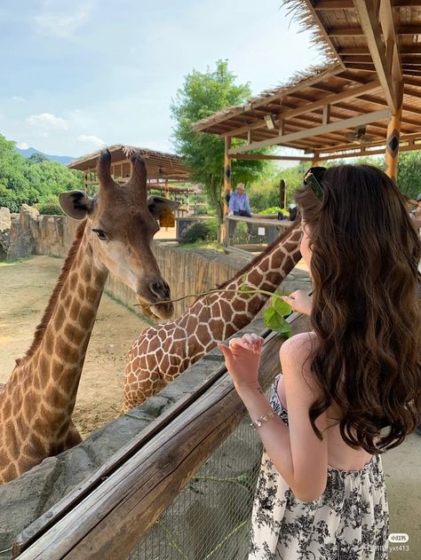 Zoo Asthetic Picture, Zoo Instagram Story, Zoo Pictures Ideas, Zoo Photo Ideas, Zoo Outfit Summer, Zoo Outfit Ideas, Museum Pics, Zoo Outfit, Zoo Pictures