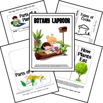 Free Botany Lapbook Homeschool Botany, Botany Science, Miss Rumphius, Classical Homeschooling, Lapbook Ideas, Lap Books, Plants Unit, Science Camp, Lap Book