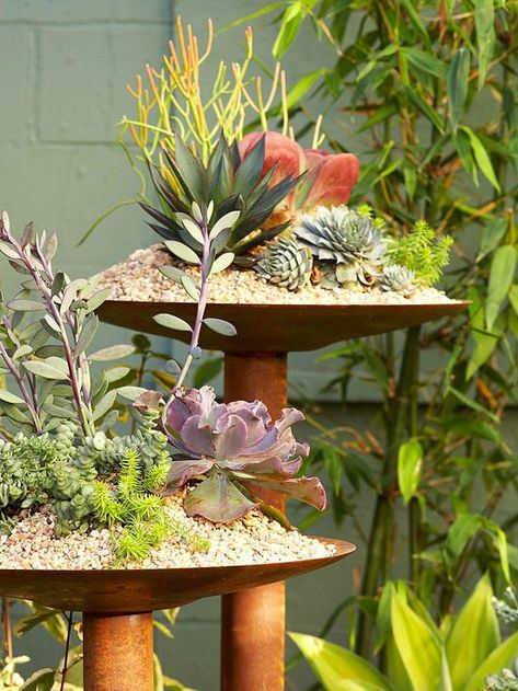 Container garden Repurposed Planter, Unique Planter, Miniature Plants, Succulents In Containers, Garden Containers, Creative Gardening, Beautiful Flowers Garden, Plant Stands, Unique Gardens