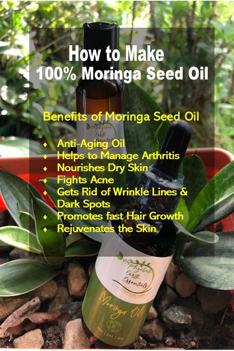 Moringa Seed Oil Tutorial: Learn how to make your own Moringa Seed Oil #howtomakemoringaseed oil, #moringaseedoil, realmoringaoil. Moringa Seed Oil is extremely good in helping to maintain overall health; it can be taken internally and used externally to treat conditions, especially, of the skin. #hephzibahearthessentials How To Make Moringa Oil, Oil Tutorial, Moringa Seeds, Moringa Leaves, Anti Aging Oils, Moringa Oil, Hair Growth Faster, Oil Benefits, Overall Health