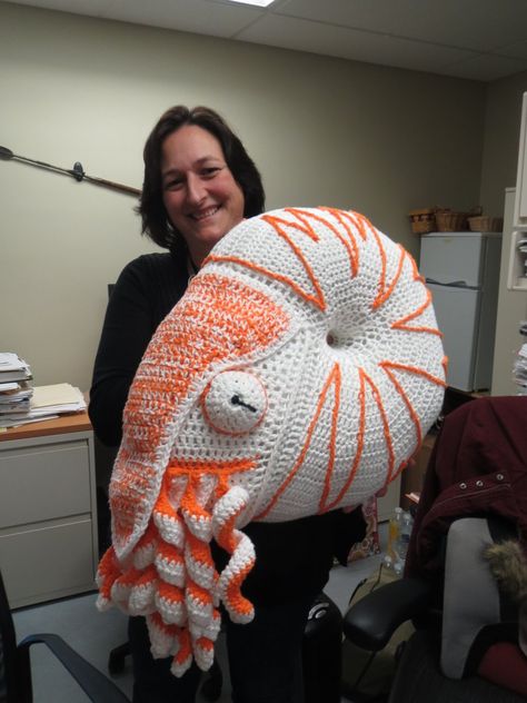 Management Support Specialist Carol Youmans shows off a HUGE crocheted Nautilus she made! WOW! #MolluskMonday #fossilFriday Our department has all kinds of talent! Cool Things To Do, Zoology, Nautilus, Diy Crochet, Artsy Fartsy, Cool Things, Crochet Ideas, Crochet Knitting, Fossil