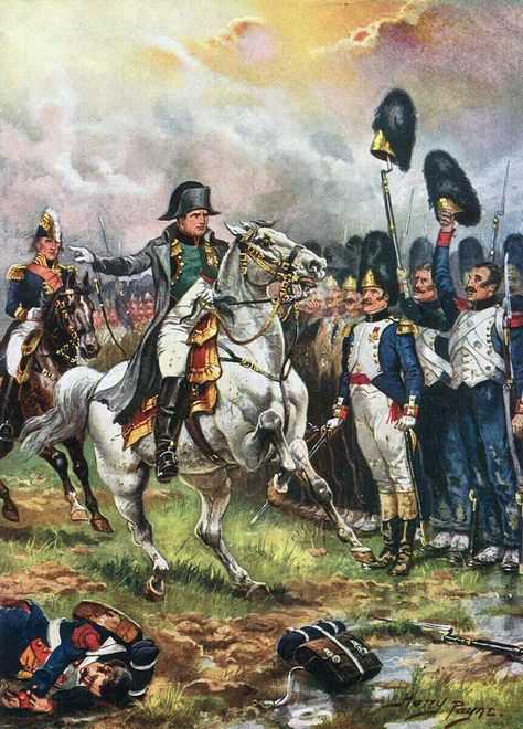 Napoleon French, Royal Horse Guards, Duke Of Wellington, Waterloo 1815, Battle Of Waterloo, Napoleon Bonaparte, French History, History Images, Ancient Egyptian Art