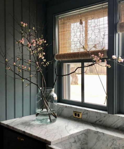 Hendricks Churchill, Beadboard Paneling, Small Cottage Homes, Apple Trees, Marble Sinks, Farmhouse Sink Kitchen, House Plants Decor, Window View, Curtain Designs