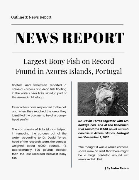 News Report Template, Paper Layout Templates, Academic Comeback, Article Template, School Newspaper, 4th Grade Writing, Complex Sentences, News Report, Education Templates