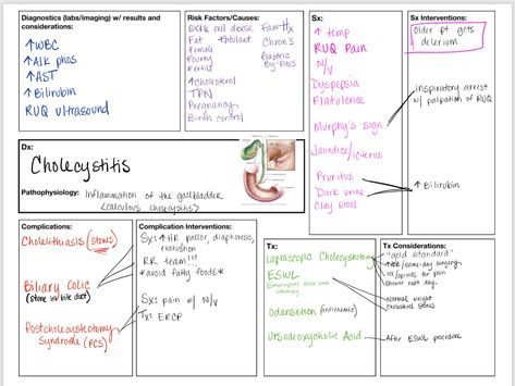 Cholecystitis concept map Med Surge Concept Map, Necrosis Pathology Notes, Concept Maps Nursing Student, Nursing School Concept Maps, Mlt Notes, Pathophysiology Notes, Gi Nursing, Concept Map Nursing Care Plans, Medsurg Nursing