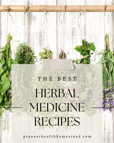 🌿 New Blog Posts to Inspire Your Wellness Journey! ✨ Looking for practical tips on herbal remedies, gardening, and wholesome recipes? Check out these new blog posts: 🌱 The Best Herbal Medicine Recipes: Natural Healing with Herbs 🌻 Herbalism for Beginners: Syrups and Salves with a Sunflower and Lavender 🌶️ How to Guide for Starting Jalapeno Seeds Indoors 🥖 Easy Discard Sourdough Herb Crackers Recipe Whether you’re diving into herbalism, starting seeds, or making snacks with sourdough discar... Home Apothecary Recipes, Apothecary Recipes Herbal Medicine, Healing Herbs Medicine Natural Remedies, Food As Medicine Recipes, Home Apothecary Beginner, Holistic Medicine Recipes, At Home Apothecary, Healing Herbs Medicine, Herbalist Remedies