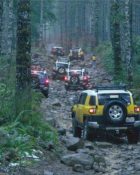 FJCruiserForums.com on Instagram: “FJ Cruisers in their natural habitat 🤘 @fjmobb _ _ #fjcruiser #fjcruiseroffroad #offroad #letsgoplaces #travel #trail #adventure…” Fj Cruiser Off Road, Fj Cruiser Mods, Mobil Off Road, Toyota Suv, The Lone Ranger, Toyota 4x4, Toyota Trucks, Toyota Fj Cruiser, Bike Lovers