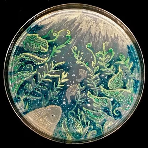 Agar Art Contest 2019: See this year’s winners Agar Art, Petri Dishes, Petri Dish, Kitten Pictures, School Of Art, Plate Art, Art Template, Art Contest, Microbiology