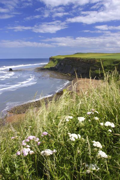 North York Moors National Park, Gallery Prints, North York Moors, Yorkshire Dales, Picture Art, Yorkshire England, England And Scotland, England Uk, English Countryside