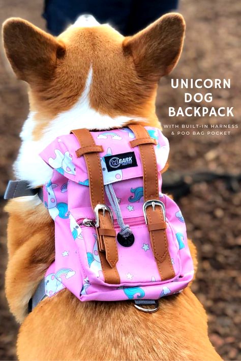 [Sponsored] Smelly Cutest Dogs Accessories #Dogphotography #Pinkdogsaccessories #petaccessoriesdiy Cat And Dog Clothes, Dog Clothes Ideas, Cute Harness For Dogs, Dog Assesories Products, Dog With Backpack, Corgi Backpack, Cool Dog Harness, Backpack For Dogs, Unicorn Dog