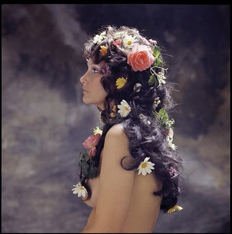 Don Murray, Katharine Ross, Ali Macgraw, Milton Greene, Tina Louise, Jeanne Moreau, Laura Palmer, Alfred Stieglitz, Claudia Cardinale