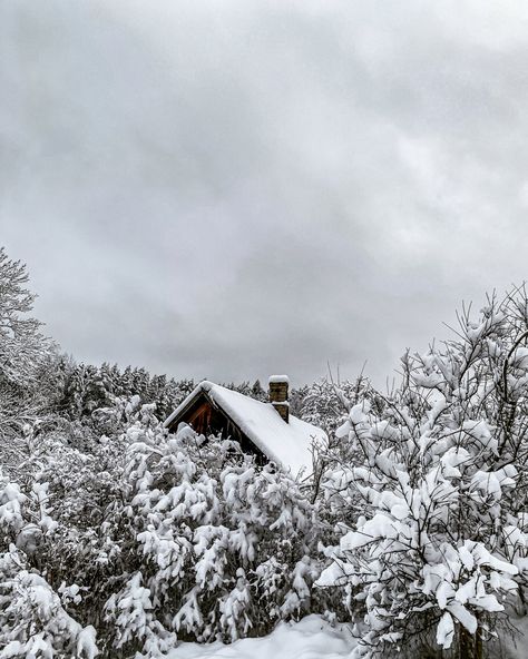 Vilnius Winter, Lithuania Winter, Lithuania Vilnius, Europe Aesthetic, 2025 Vision, Kinds Of People, Eastern Europe, Lithuania, Vision Board