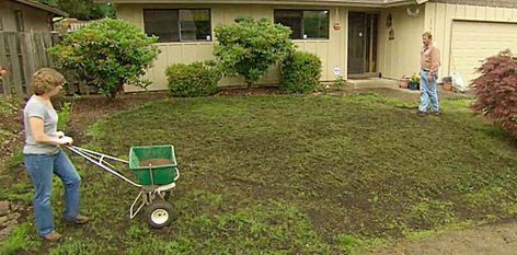 Indoor Garden Aesthetic, Reseeding Lawn, Lawn Repair, Landscaping Around House, Lawn Ideas, Aerate Lawn, Diy Lawn, Lawn Care Tips, Gardening Backyard