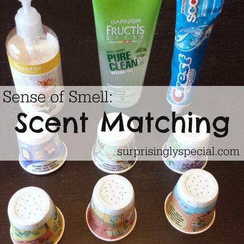 Sense Of Smell Activities Kindergarten, Sense Of Smell Activities For Toddlers, 5 Senses For Toddlers, Smell Activities Preschool, Sense Of Smell Activities Preschool, Preschooler Crafts, 5 Senses Preschool, Construction Theme Preschool, Five Senses Preschool