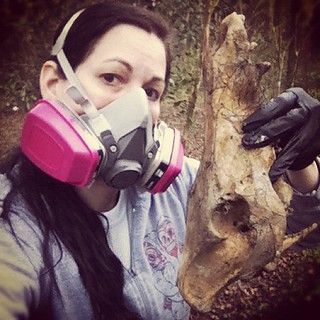 Bonelust: BONELUST BONE PROCESSING Q&A: I want to start collecting bones/animal remains but I'm concerned about disease. Taxidermy Diy, Bone Collector, Good Questions, Vulture Culture, Safety Precautions, Bone Art, Double Up, Interesting Questions, Not Enough