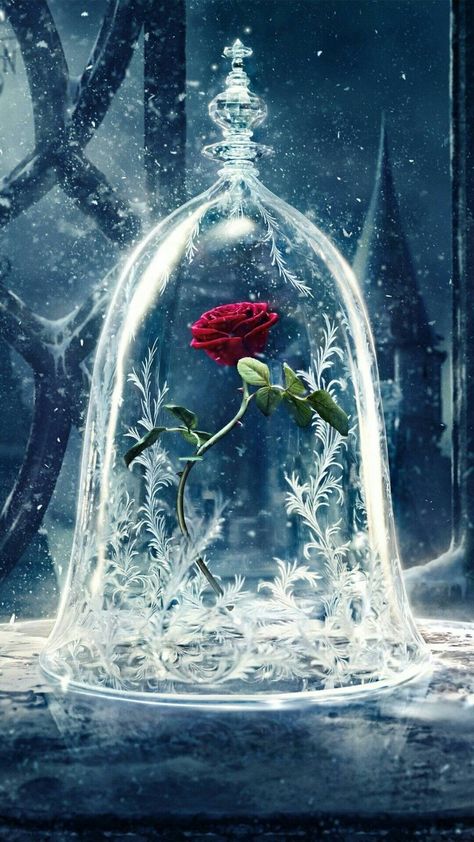 Bella Disney, Beauty And The Beast Wallpaper, Wallpaper Iphone Disney Princess, Beast Wallpaper, Disney Belle, Images Disney, Wallpaper Disney, Disney Background, Princess Wallpaper