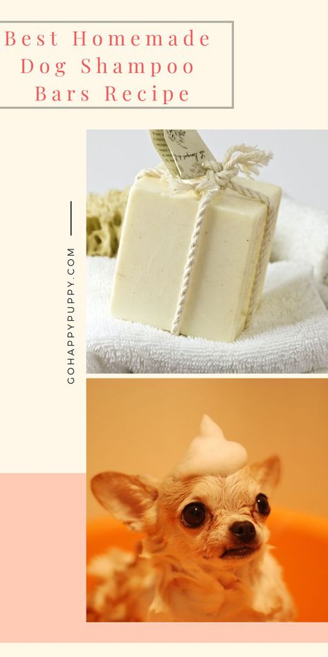 Learn how to make shampoo bar at home for your dog. This shampoo bar is very helpful at repelling fleas and treating most of skin complaints. Homemade Pet Products, Paw Ideas, Make Shampoo, How To Make Shampoo, Adoption Tips, Diy Dog Shampoo, Homemade Dog Shampoo, Dog Shampoo Bar, Shampoo Bar Recipe