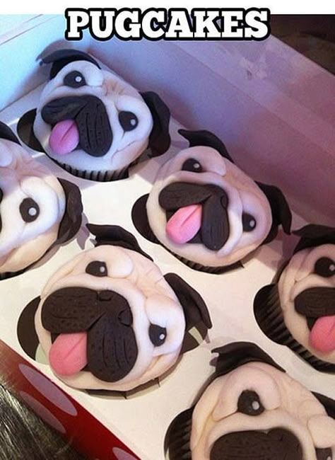 Pug Cakes, Pug Cupcakes, Cupcakes Bonitos, Pug Cake, Super Torte, Anjing Pug, Cookies Cupcake, Cupcakes Decorados, Creative Cupcakes