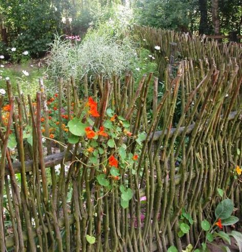 GARDEN & COUNTRY Rustic Fence, Natural Fence, Plants Growing, Fence Ideas, Backyard Fences, Plants And Flowers, Garden Fencing, Garden Structures, Garden Cottage