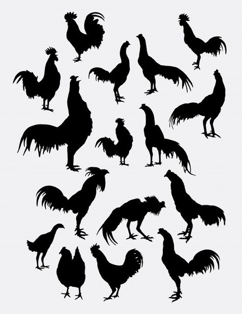 Pollo Animal, Chicken Animal, Rooster Vector, Chicken Wire Sculpture, Rooster Silhouette, Fox Silhouette, Cartoon Rooster, Rooster Tattoo, Vector Animals