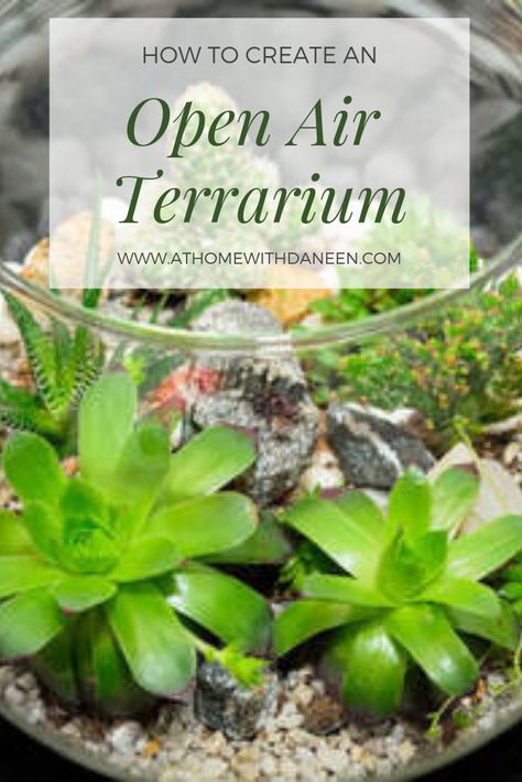 Terrariums Diy, Dish Gardens, Build A Terrarium, Open Terrariums, Diy Succulent Terrarium, Terrarium Jar, Small Terrarium, Cactus Terrarium, Succulent Garden Indoor