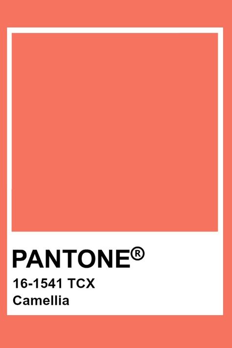 Pantone Camellia Orange Pantone, Pantone Orange, Coral Pantone, Pantone Tcx, Pantone Colours, Pantone Color Chart, Pantone Swatches, Pantone Palette, Pantone Colour Palettes