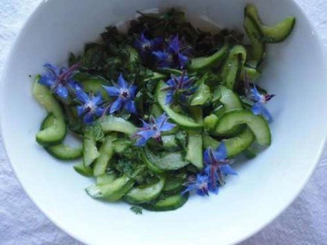 Borage is a lovely garden plant, and both the leaves and the flowers are edible. Sprinkled over a simple cucumber salad they add flavor and color. Dill Salad Recipe, Garden Knowledge, Cottagecore Recipes, Cucumber Dill Salad, Brunch Sides, Asian Cucumber Salad, Cucumber Dill, Creamy Cucumber Salad, Creamy Cucumbers