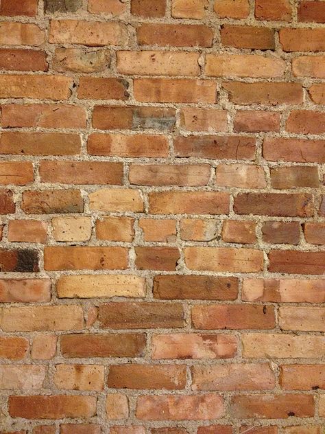 cleaning and sealing exposed brick Duplex Ideas, Diy Brick Wall, German Smear, Chicago Brick, Nyc Interior Design, Old Brick Wall, Brick Interior, Bricks Diy, Affordable Interior Design