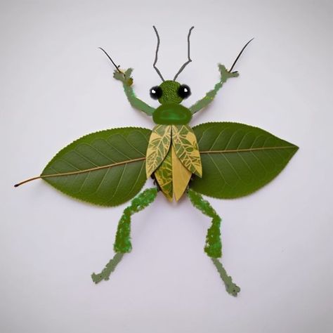 leaf bug Leaf Bugs Craft, Leaf Insects Craft, Conker Crafts, Bug Crafts For Kids, Conkers Craft, Creepy Bugs, Leaf Bug, Bug Craft, Cute Bugs