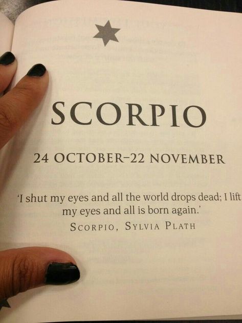 Backgrounds Ideas, Zodiac Quotes Scorpio, Scorpio Art, Astrology Scorpio, Scorpio Traits, Scorpio Tattoo, Scorpio Love, Scorpio Zodiac Facts, Scorpio Quotes