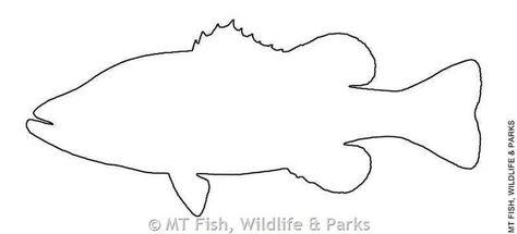 bass fish Outline Drawing | 17 Best images about Details on Pinterest | Sculpture ... Bass Fish Outline, Fish Outline Drawing, Minnesota Crafts, Bass Art, Fish Printables, Fish Outline, Fish Template, Farm Animal Coloring Pages, Bass Fish