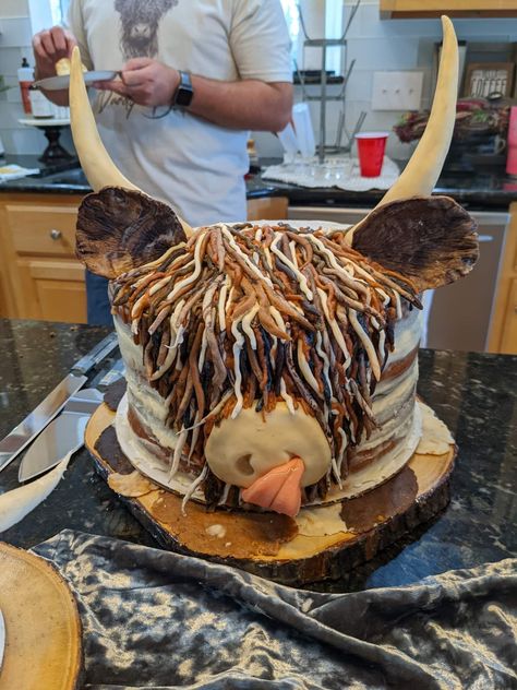 Highland Cow Pinata, Highland Cow Smash Cake, Hyland Cow Cake, Cow Cake Birthday, Highland Cow Birthday Cake, Longhorn Cake, Highland Cow Cake, Cow Birthday Cake, Cowgirl Cake