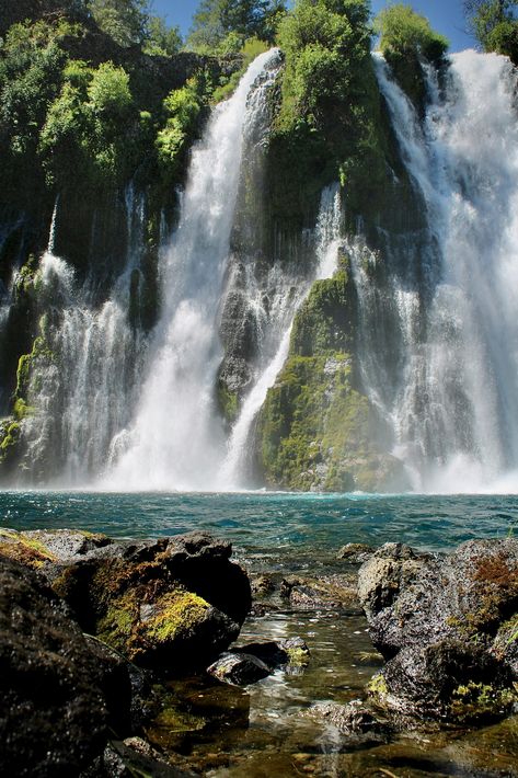 Nestled in the heart of California's Cascade Range, you'll find the enchanting Burney Falls, a true testament to nature's beauty. This breathtaking 129-foot waterfall, recognized as a National Natural Landmark, cascades year-round, fed by both surface water from Burney Creek and underground springs that weave through the region's volcanic rock. When you visit, you'll see why it's not just the height but also the sheer volume of water and picturesque setting that draws visitors from around the wo Burney Falls, Forest Ecosystem, Lassen Volcanic National Park, Surface Water, Volcanic Rock, Travel Locations, Camping Experience, The Jewel, Amazing Adventures