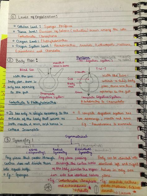 Animal Kingdom Notes Neet, Animal Kingdom Notes Class 11, Kingdom Animalia Notes, Animal Kingdom Notes, Zoology Notes, Handmade Notes, Biology Class 11, A Level Biology, Biology Facts