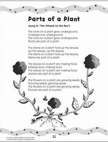 Montessori Songs, Science Poems, Plant Song, Montessori Music, Science Plants, Kindergarten Poems, Plant Lessons, Shape Poems, Wolf Trap