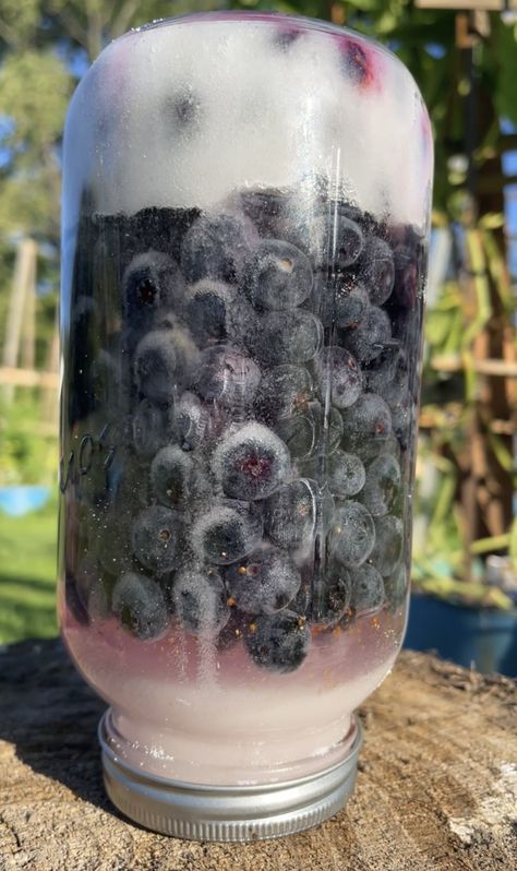 this is medicinal liquor — not cheong! Blueberry Liquor, Healing Flowers, Blueberry Picking, Liquor Recipes, Homemade Condiments, Blueberry Bushes, Fruit Preserves, Food Scale, And July