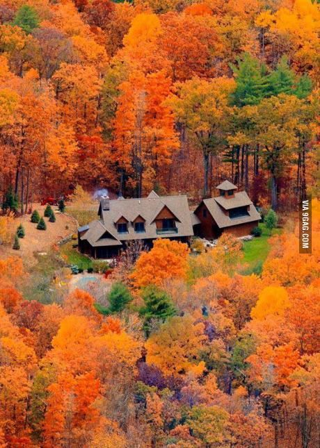 This is Michigan, US in Autumn New York Photos, Autumn Scenes, Colorful Trees, Autumn Scenery, Cabin In The Woods, Yellow Leaves, Fall Pictures, Orange And Yellow, Lombok