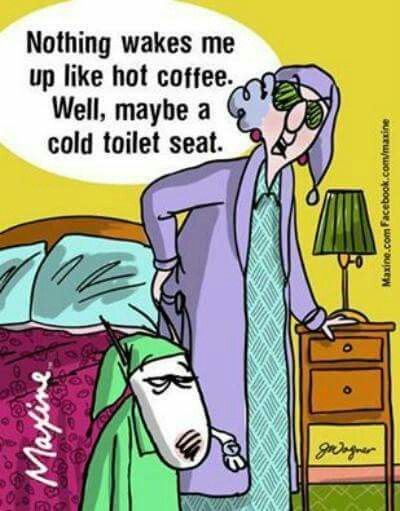 Nothing wakes me up like hot coffee. Well, maybe a cold toilet seat. Senior Humor, Slaap Lekker, Minions Funny, Twisted Humor, Pics Art, Coffee Humor, Funny Cards, Funny Cartoons, Getting Old