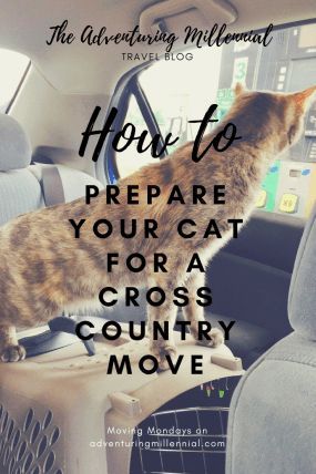 Moving Across Country Tips, Moving With Cats, Cross Country Moving, Moving House Tips, Moving Across Country, Moving Hacks, Moving Hacks Packing, Cross County, Military Move